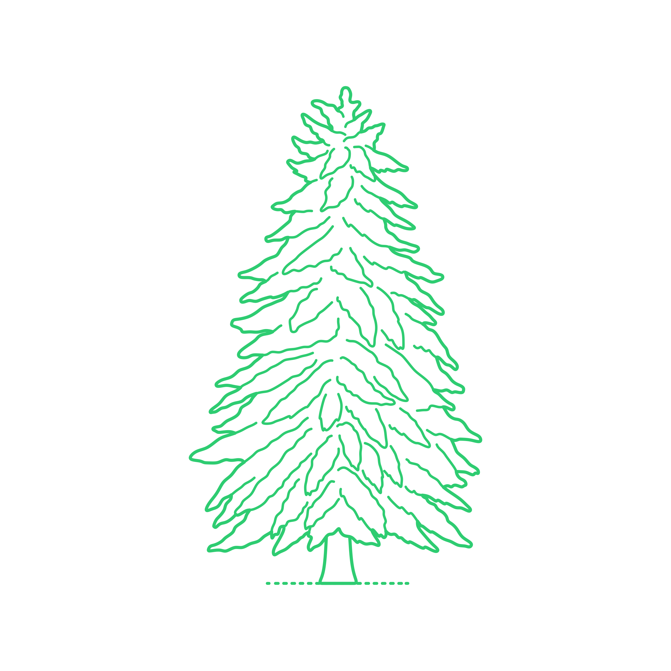 Plants Hemlocks Carolina Hemlock Line Art Illustration Svg Free Vectors